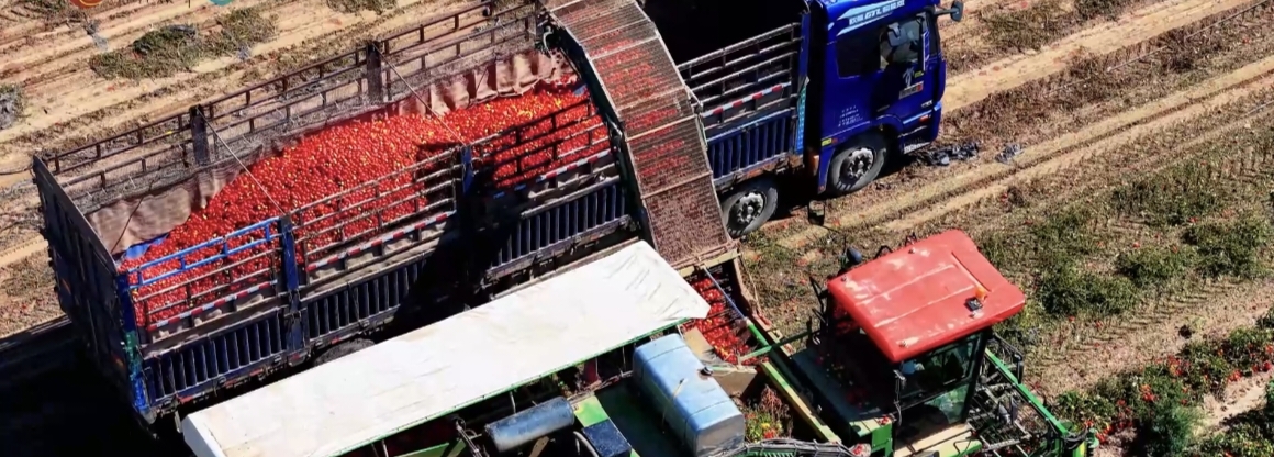FUYONG Full Steam Ahead for the 2025 Production Season